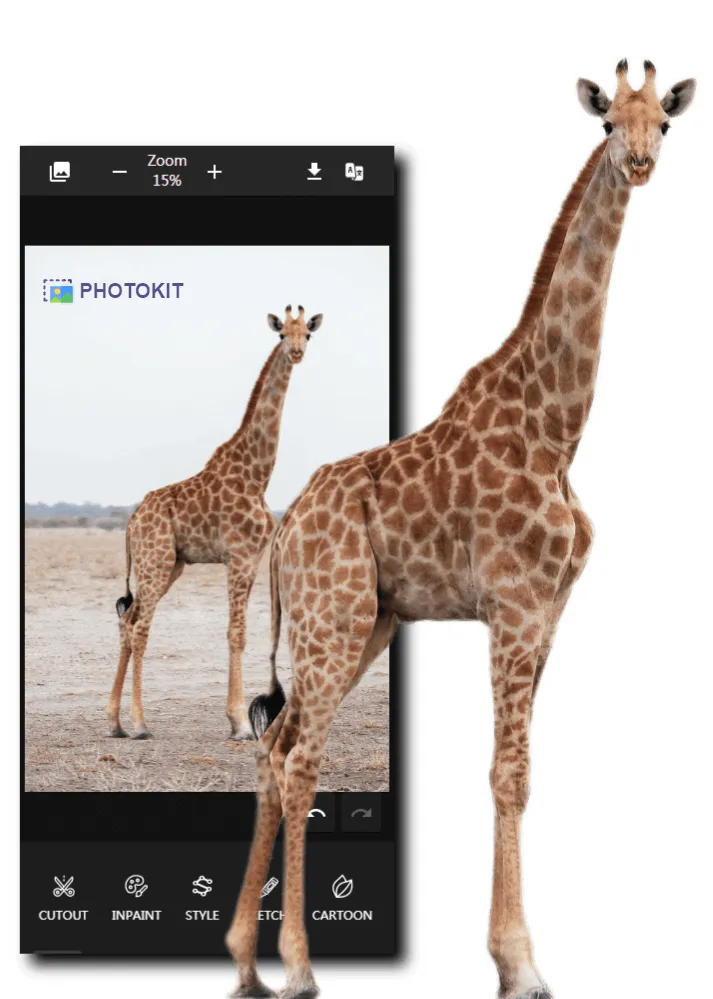 PhotoKit Editor de foto Software